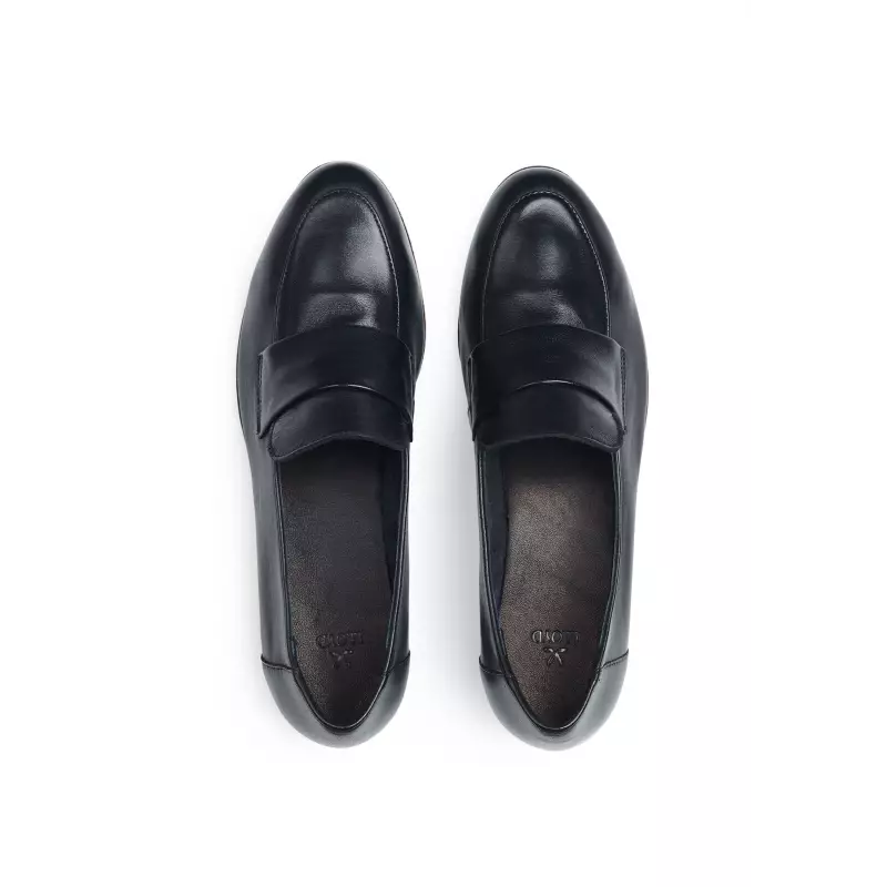 ROVIA 240