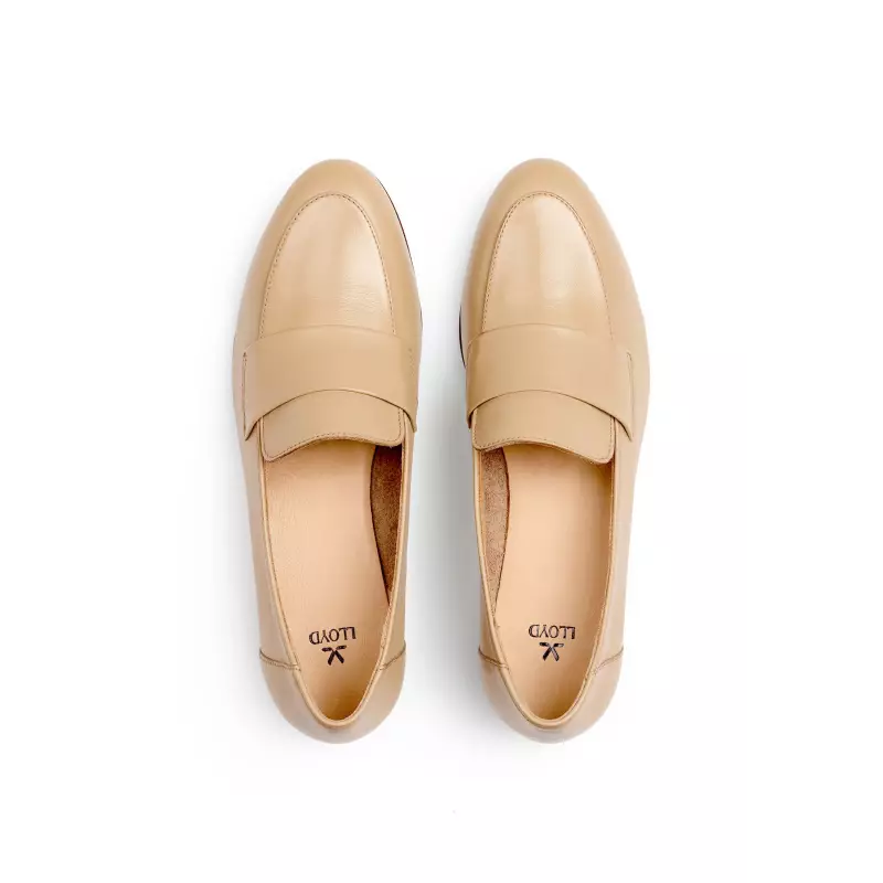 ROVIA 240