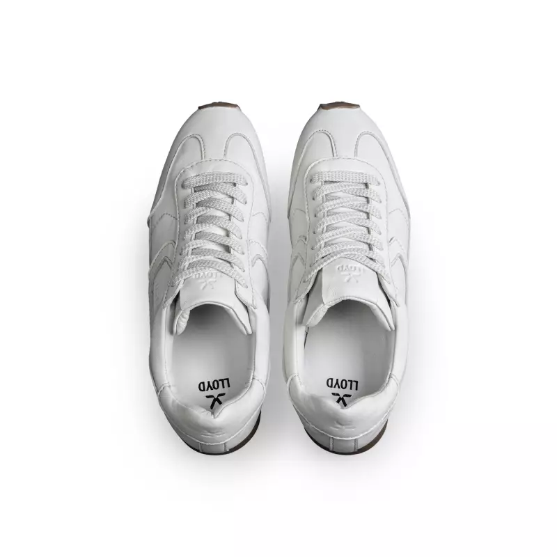 VELOCITY M